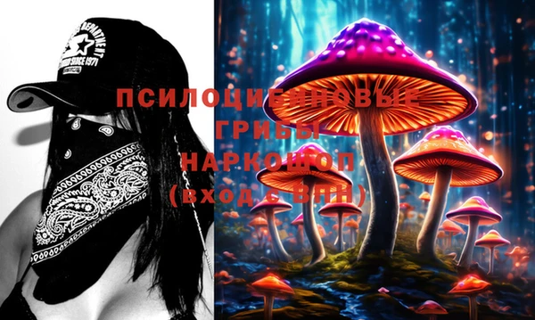 дмт Кинешма