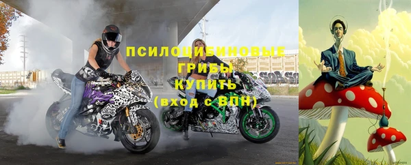 хмурый Нея