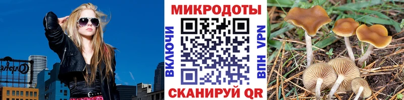 Псилоцибиновые грибы MAGIC MUSHROOMS  наркота  Ангарск 