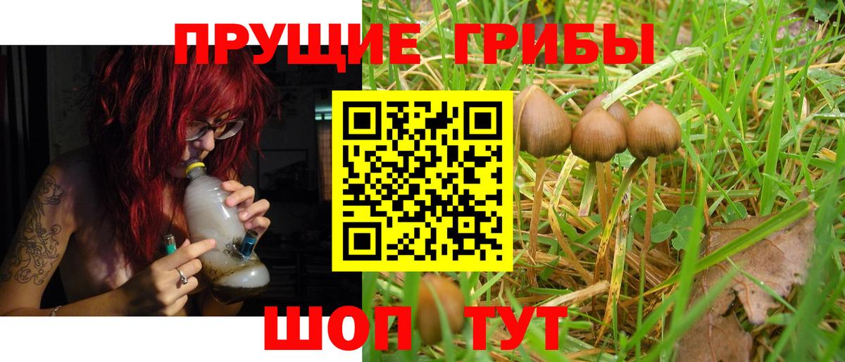 Ангарск  Псилоцибиновые грибы Psilocybe  Вход с VPN 