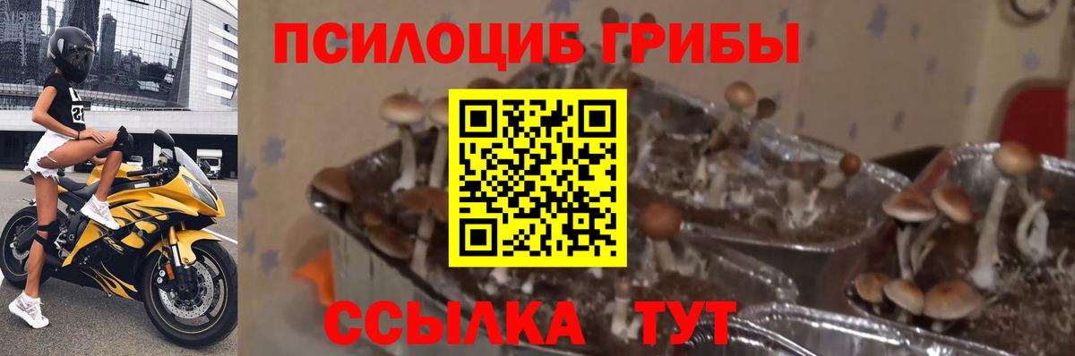 МЕФ Ангарск